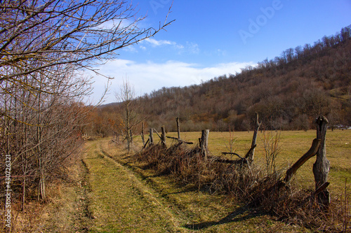 The area is fenced with a wooden fence.