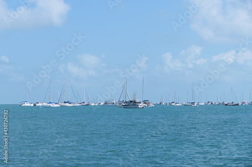 boats in the harbor