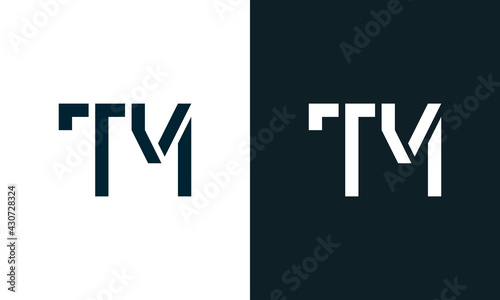 Creative minimal abstract letter TM logo.