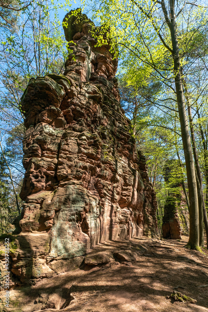 Fladensteine, Pfälzerwald