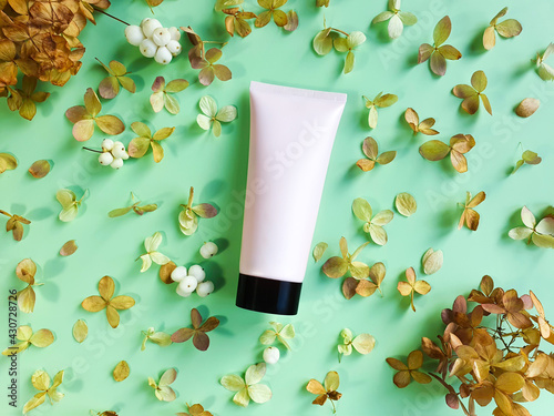 Top view of unbranded light pink squeeze cosmetic tube with black cap and dried hydrangea flowers on green background. Natural organic spa cosmetics concept. Flat lay, mockup photo