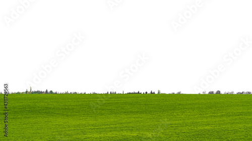 Landscape view of green grass on field isolated on white background