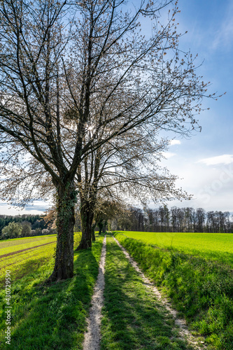 Frühling im Kraichgau