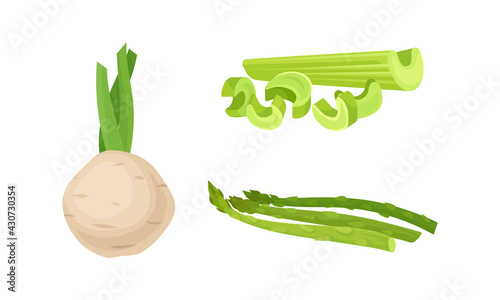 Celery, Asparagus and Globe Artichoke as Cultivated Vegetable for Vegetarian Nutrition Vector Set