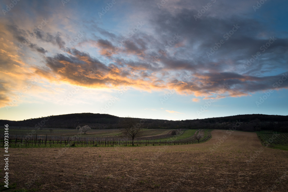 Dramatic sky after sunset with agricultural fields and vineyards in Burgenland
