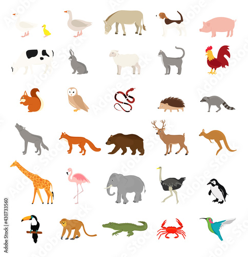 Vector animals collection