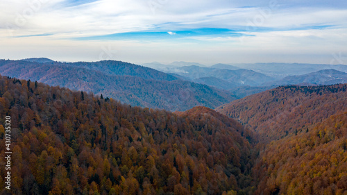 Beautiful autumnal landscape in the forest from hendek in Turkey