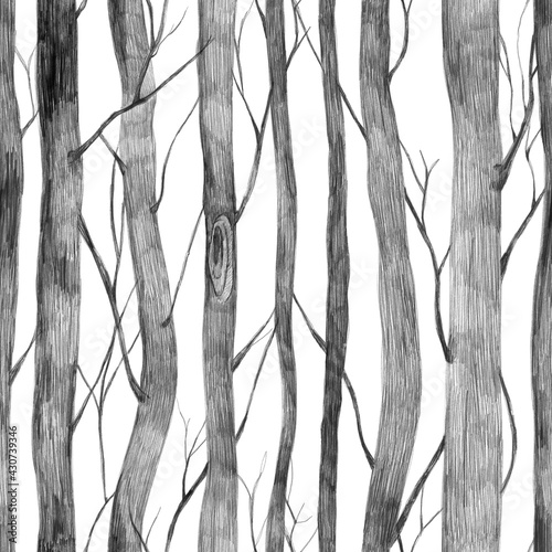 A hand-drawn black-and-white pattern of tree trunks and branches. Graphic wallpaper, screensaver, background. Template design.