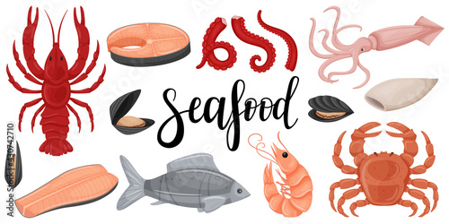 Seafood set. Raw squid, octopus, red fish, fillet,mussels, crab, crayfish, butchered squid, salmon steak.A collection in a flat cartoon style. Color vector illustration isolated on a white background.