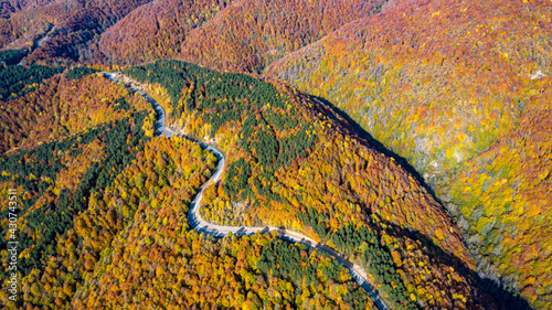 Photography The road through the forest was shotfrom the air with a Drone.