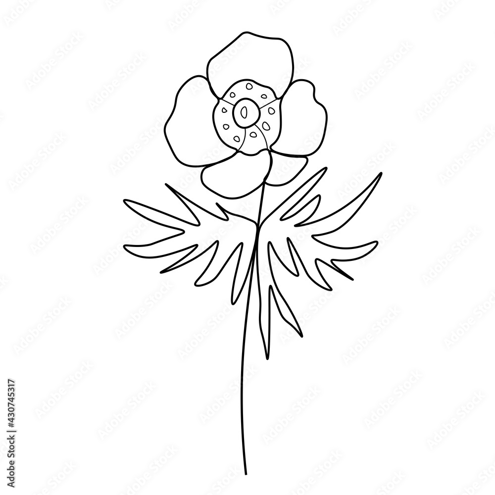 One simple vector peony flower with a black line.Botanical hand drawn illustration on isolated background.Vintage doodle style picture.Design for packaging,social media,invitation,greeting card.