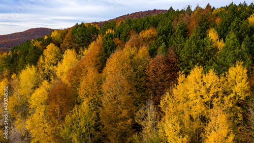 Fototapeta Naklejka Na Ścianę i Meble -  Beautiful autumnal landscape in the forest from hendek in Turkey