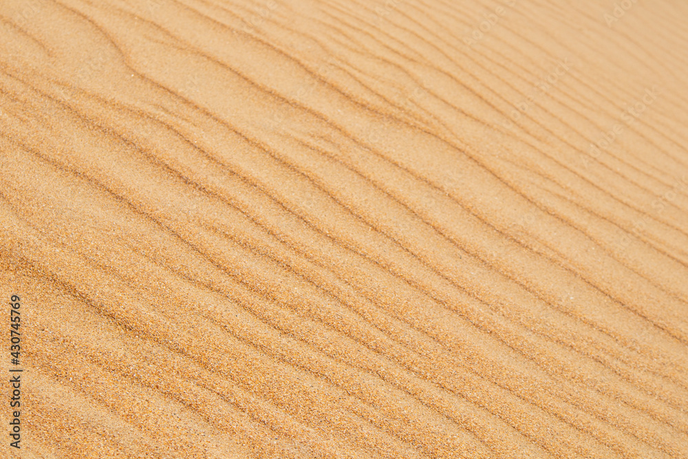 Background of the sand texture Background of the sand texture