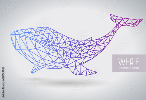 Hipster polygonal whale silhouette. Vector illustration