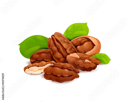 Pecan nut composition, good for label and sticker