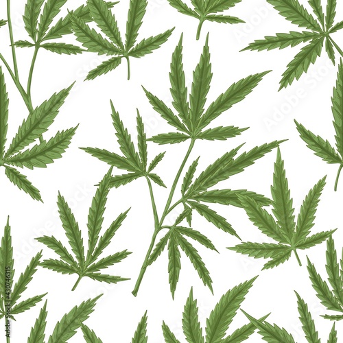 Seamless pattern with cannabis leaves on white background. Endless repeatable design with hemp or marijuana for printing. Colored hand-drawn vector illustration for wrapping in vintage style