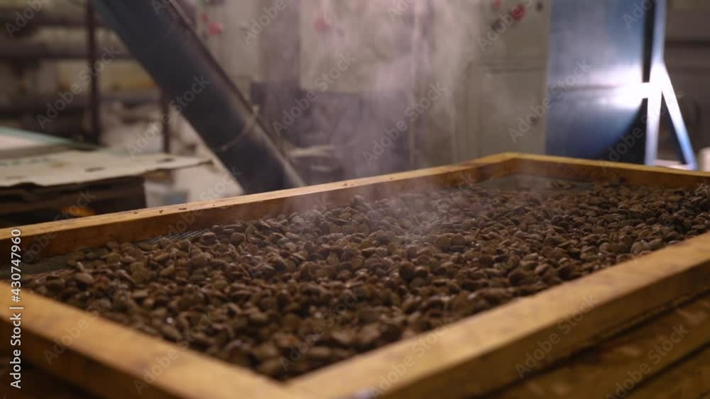 Factory. Production of dog food
Factory. Production of dog food