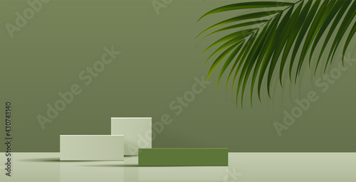 Cosmetic green background and premium podium display for product presentation branding and packaging . studio stage with shadow of leaf. vector design.