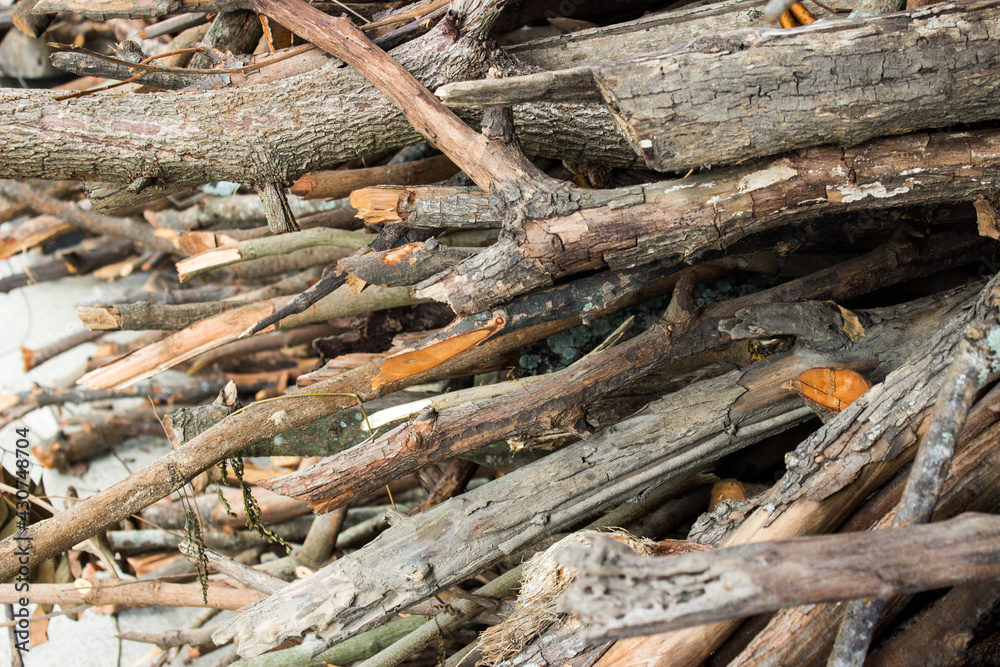 Close up pile of dry wooden twigs in random order