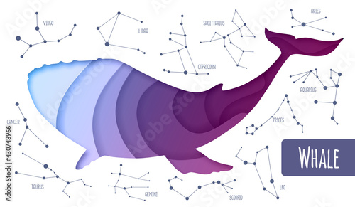 Modern magic witchcraft whale silhouette. Cut out paper art style design.Star map background with constellations