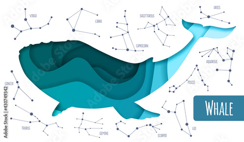 Modern magic witchcraft whale silhouette. Cut out paper art style design.Star map background with constellations