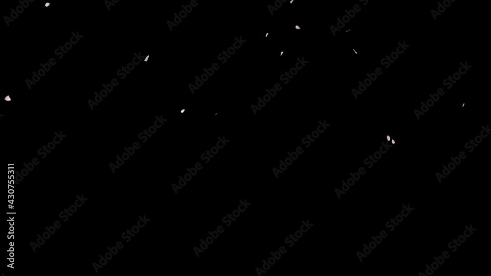 Cherry Blossom Petals Falling with alpha channel. 3D rendering. easy to use place on footage or background. Cherry Blossom Petals Falling with alpha channel. 3D rendering. easy to use place on footage or background.