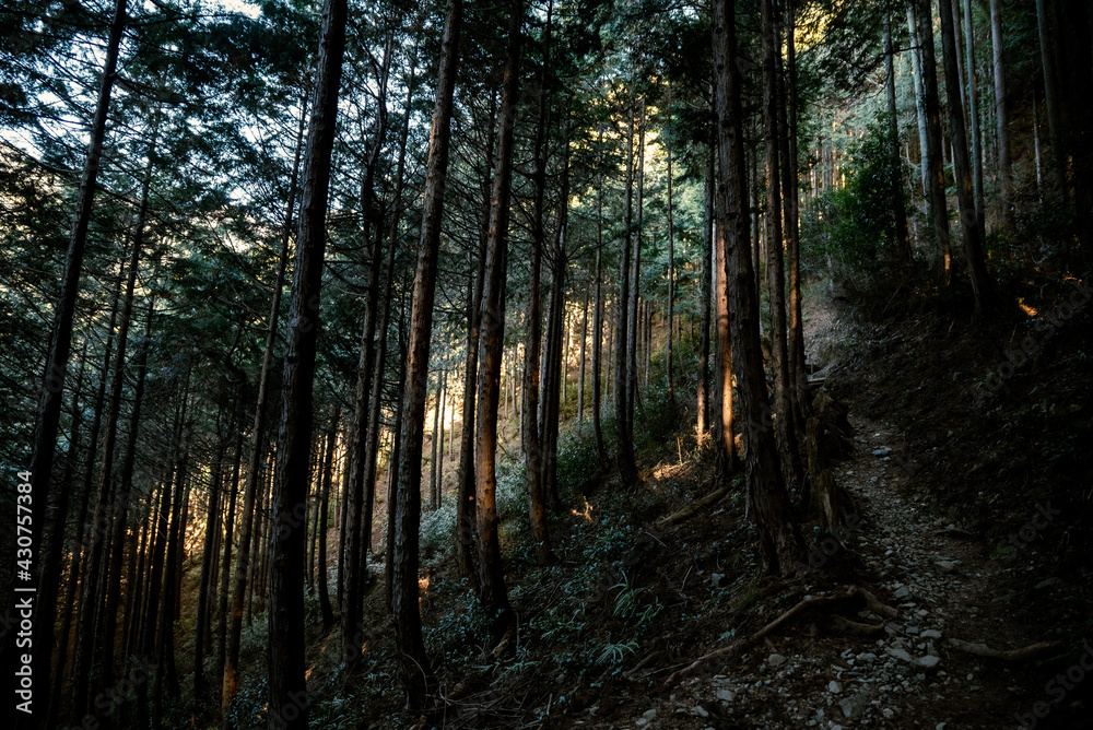 Obraz premium 冬の奥多摩