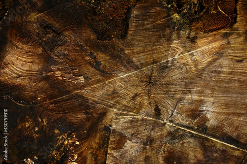 Background texture of cut wood.