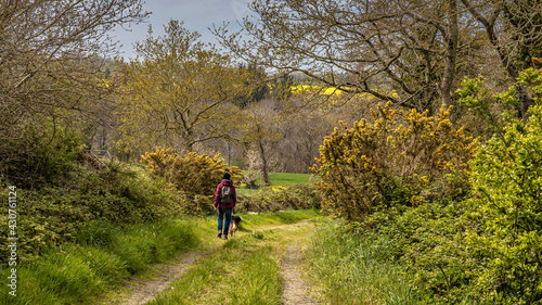 Hiking trail in Brittany