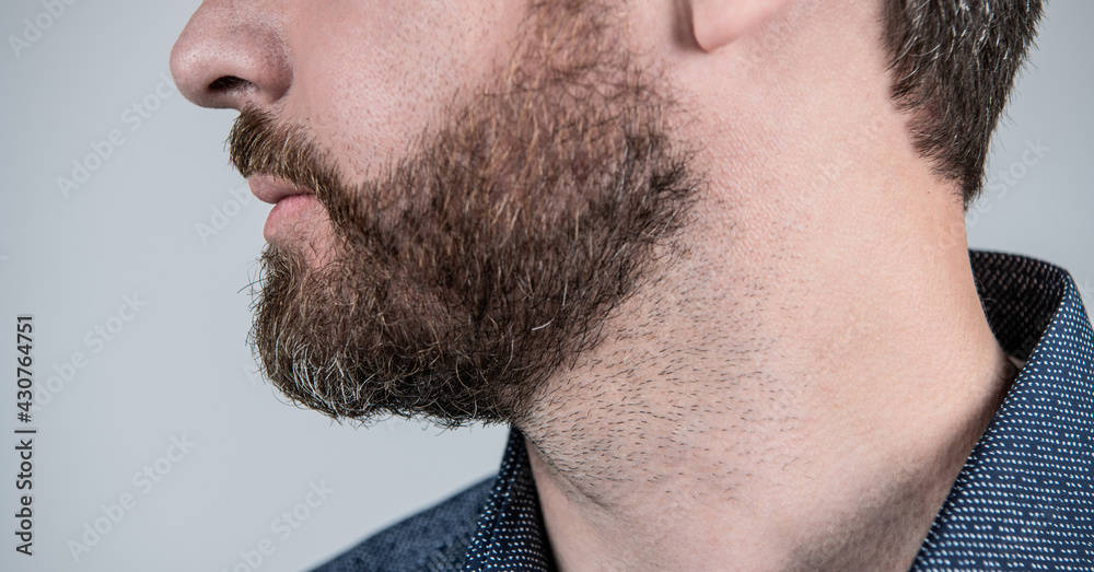 Obraz premium Mans face cropped view with bearded skin and facial hair grey background, skincare