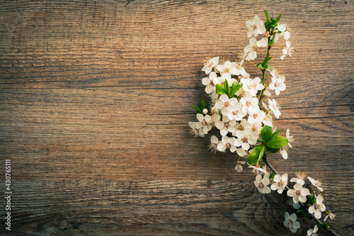Spring background with white flowers blossoms on wooden background. top view