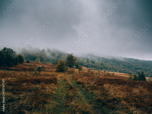 Thick Fog at Autumn Mountain Trail