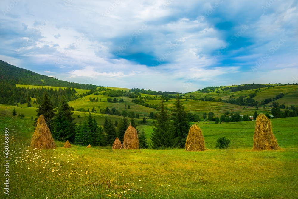 Idylic carpathian summer landscape with haystacks on a green meadow