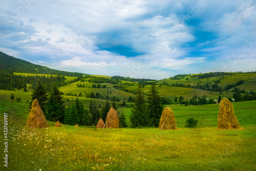 Fototapeta Naklejka Na Ścianę i Meble -  Idylic carpathian summer landscape with haystacks on a green meadow