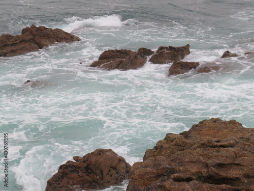 waves crashing on rocks and making animal forms