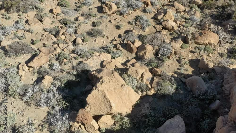 Desert rock formations at El Teide national park, Tenerife Canary islands, Spain with vegetation, Aerial looking down reveal shot Desert rock formations at El Teide national park, Tenerife Canary islands, Spain with vegetation, Aerial looking down reveal shot