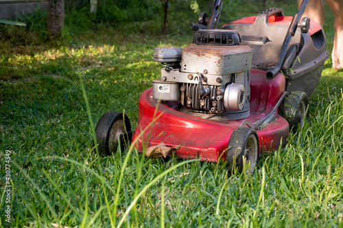 Mowing a lawn with a old style petrol gasoline lawnmower. Red lawn mower cutting grass . Gardening concept background