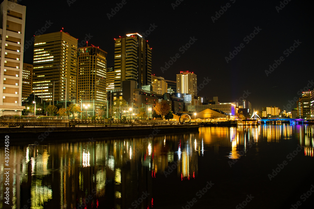 Obraz premium 天王洲アイルの夜景