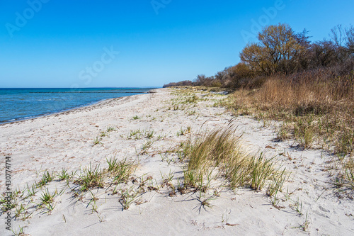 Strand an der K  ste der Ostsee auf der Insel Poel