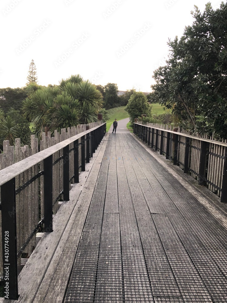 Obraz premium wooden bridge, trees, nature, scenery, evening view 