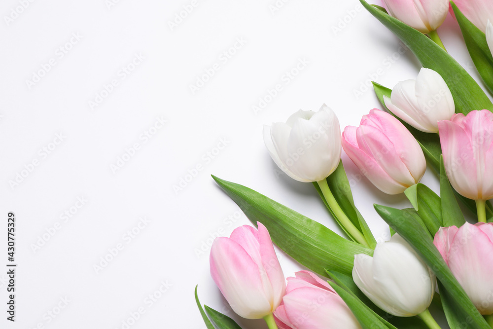 Beautiful pink spring tulips on white background, top view. Space for text Beautiful pink spring tulips on white background, top view. Space for text