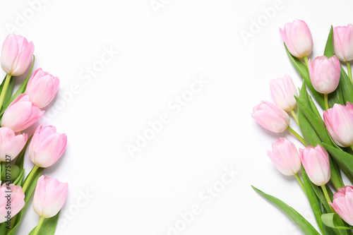Fototapeta Naklejka Na Ścianę i Meble -  Beautiful pink spring tulips on white background, top view. Space for text