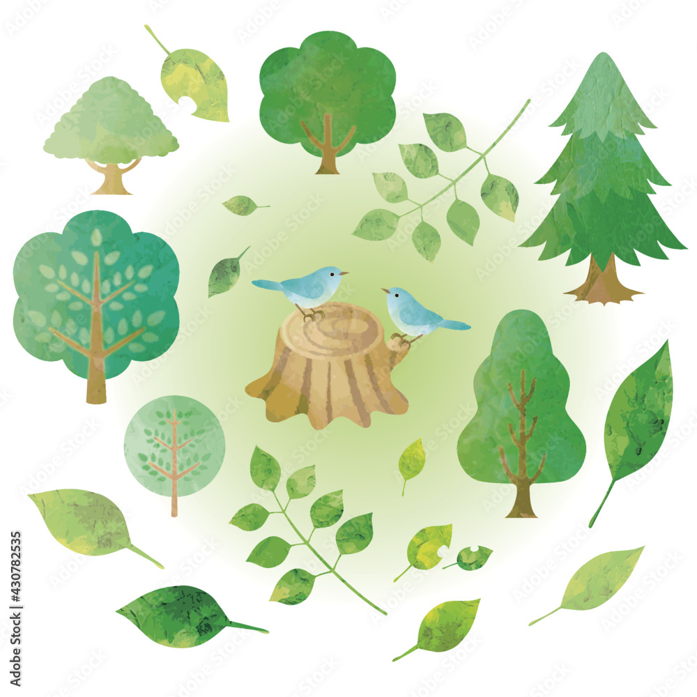 夏 緑 森 木 葉 小鳥 水彩 シルエット イラスト素材セット Vector De Stock Adobe Stock