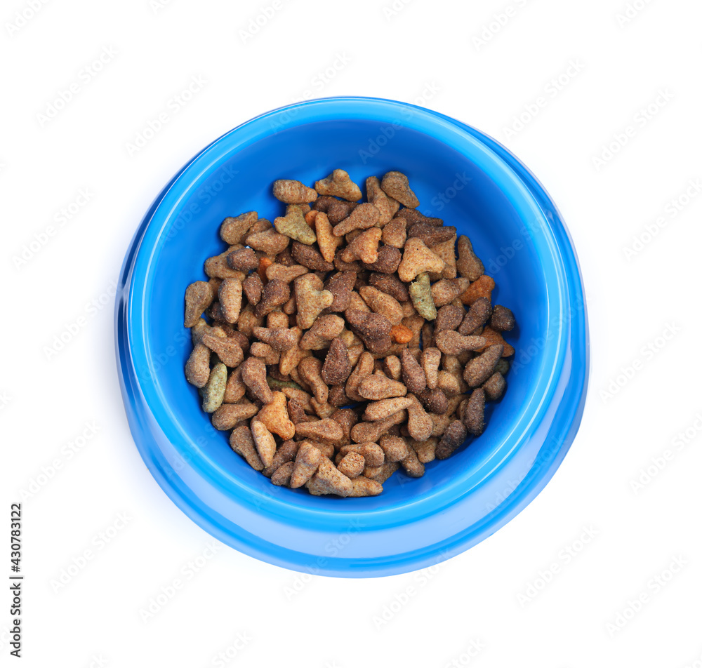 Feeding bowl isolated on white, top view. Pet care