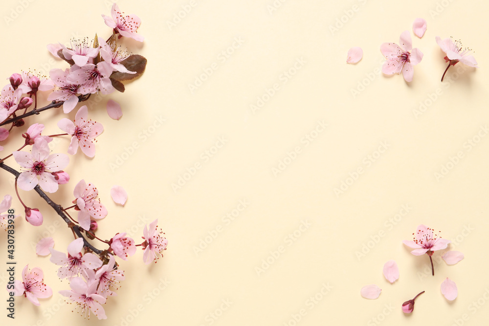 Fototapeta Sakura tree branch with beautiful pink blossoms on beige background, flat lay. Space for text
