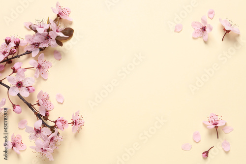 Sakura tree branch with beautiful pink blossoms on beige background, flat lay. Space for text © New Africa