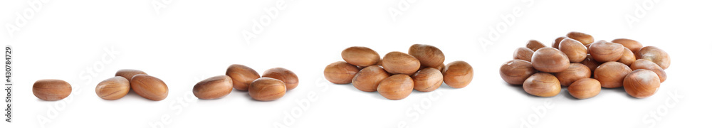 Set with jackfruit seeds on white background. Banner design Set with jackfruit seeds on white background. Banner design