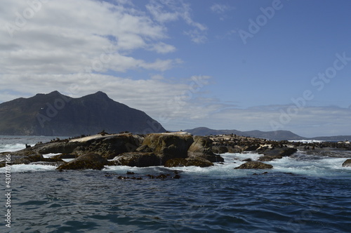 Rocks in the ocean © @trabalho.paraisso