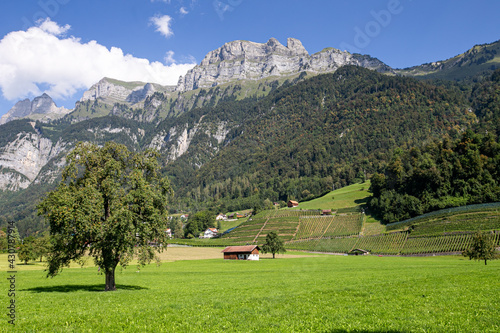 Farmland at the foot of the Swiss Alps in Switzerland