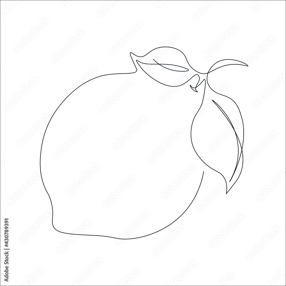 Continuous single line drawing of a lemon. Drawing a whole fruit with a single line. Abstract minimalistic style. Continuous line citrus fruit. Vector illustration on white isolated background.